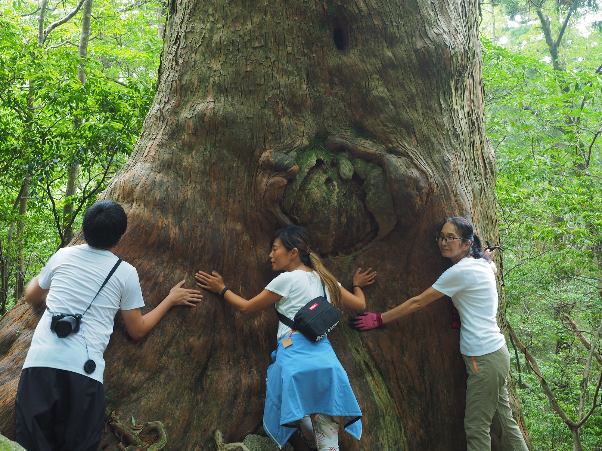 屋久杉と記念撮影
