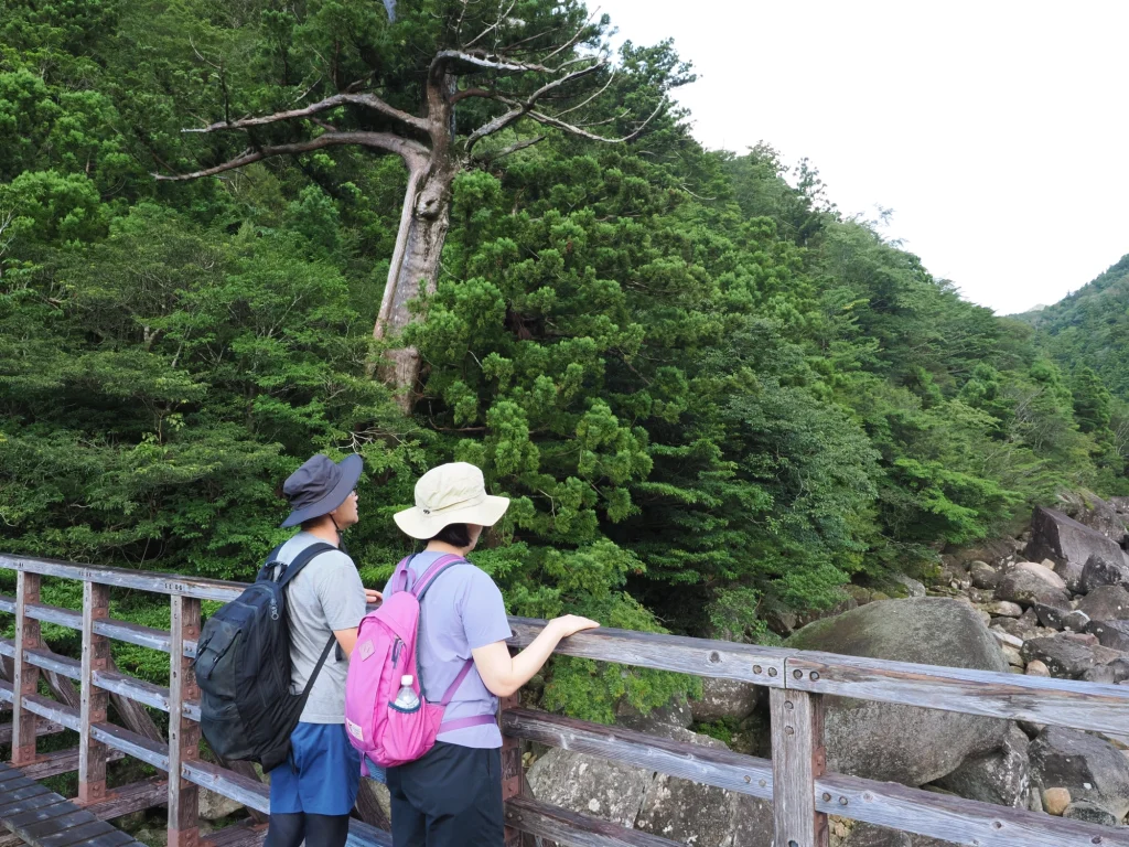 トロッコ道の小杉谷橋