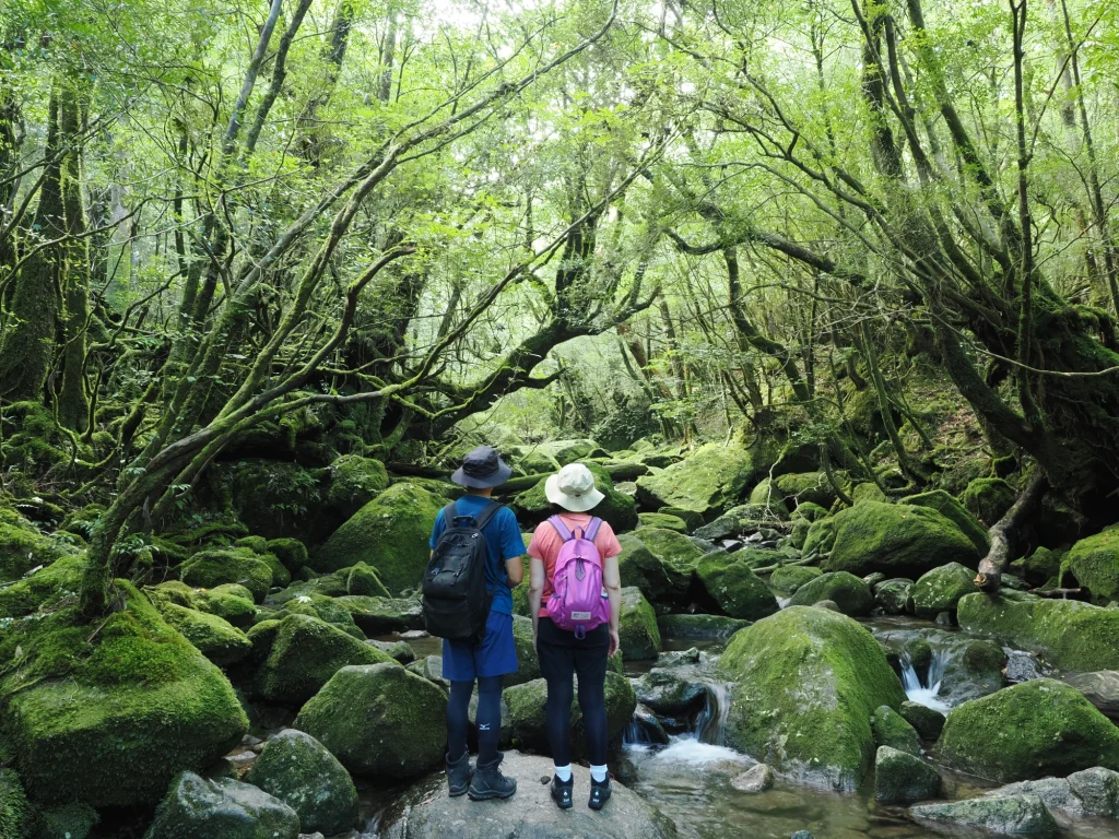 白谷川