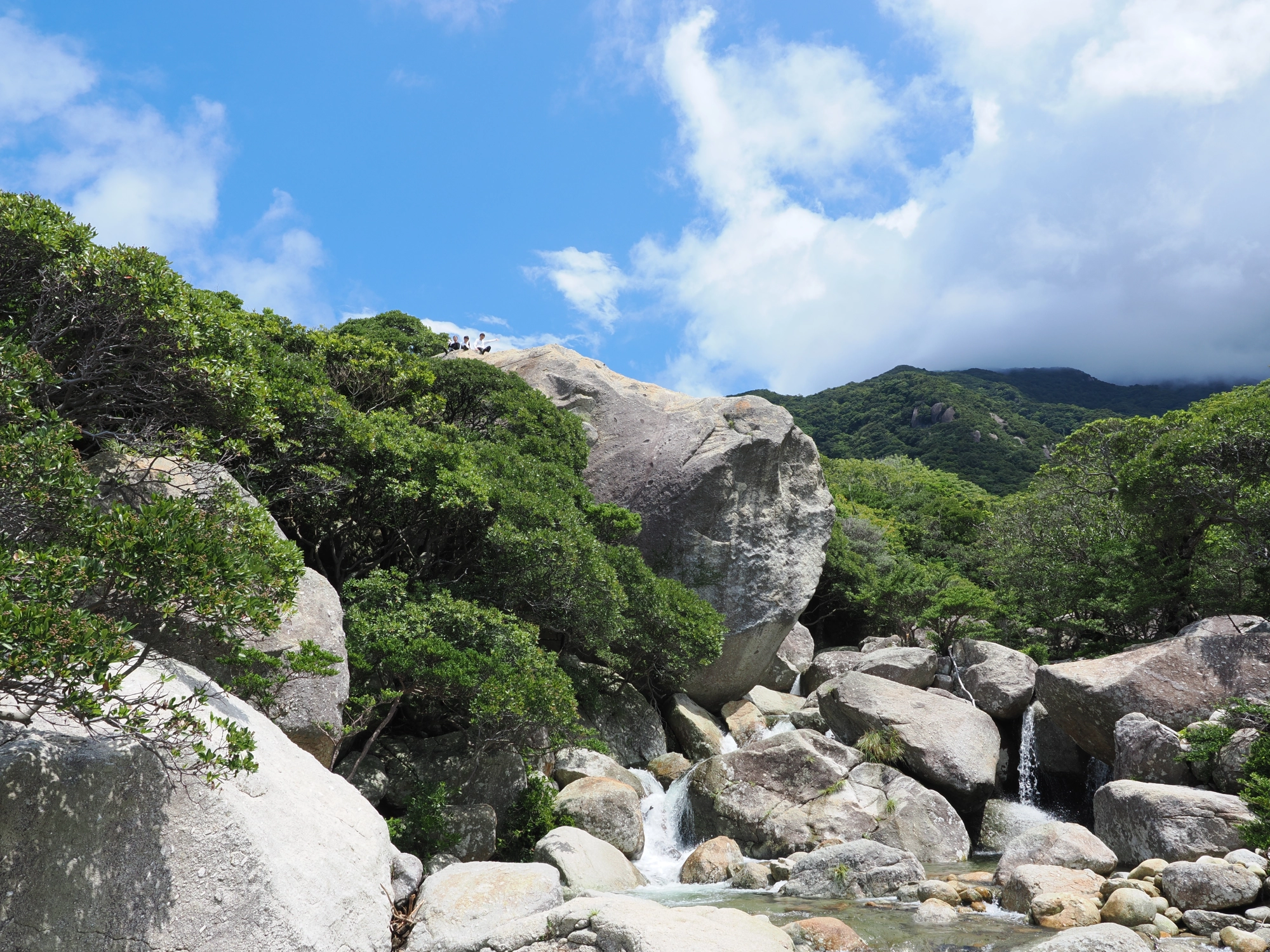 西部林道の半山展望台