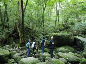 楠川歩道