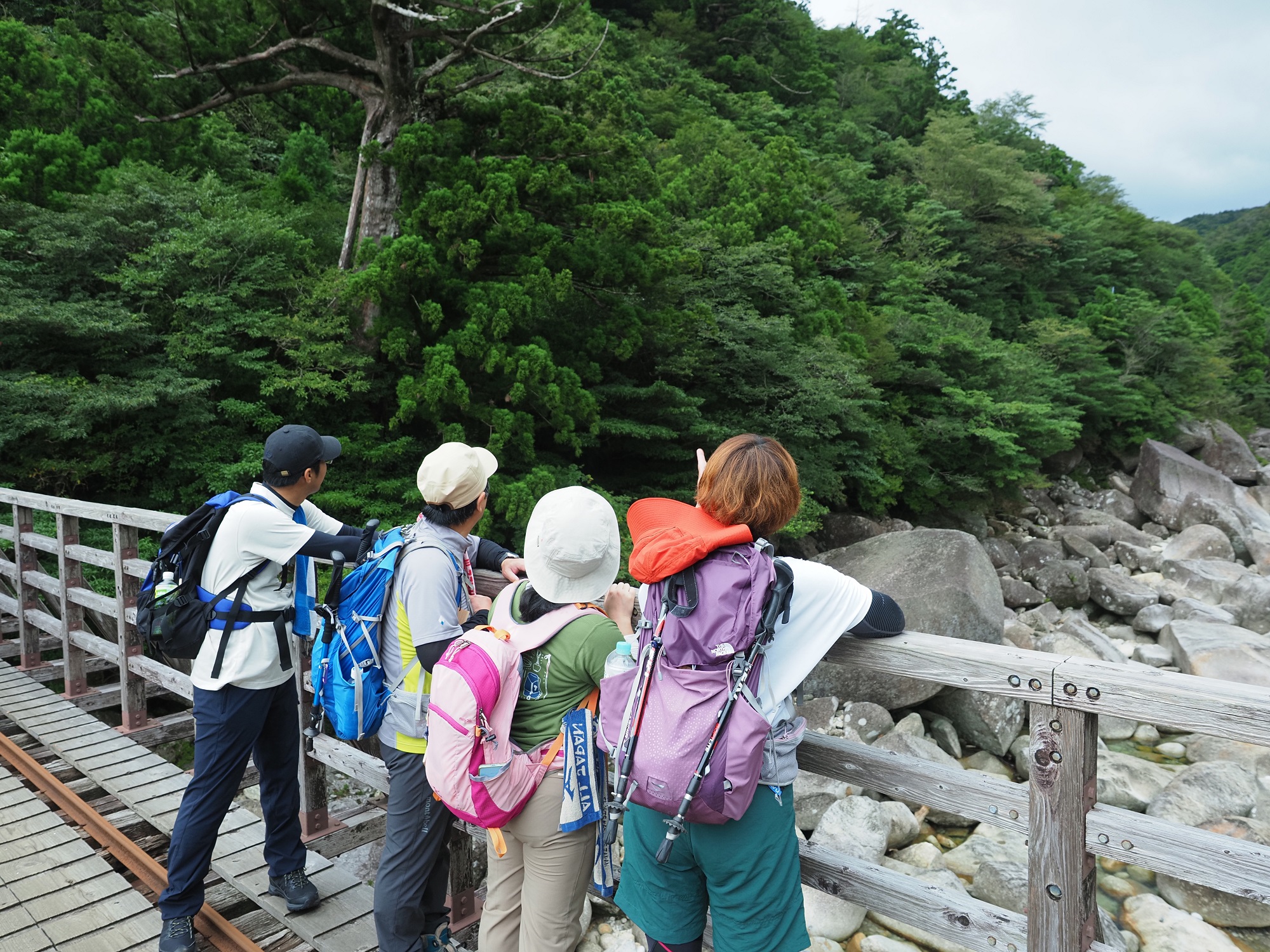 トロッコ道の小杉谷橋