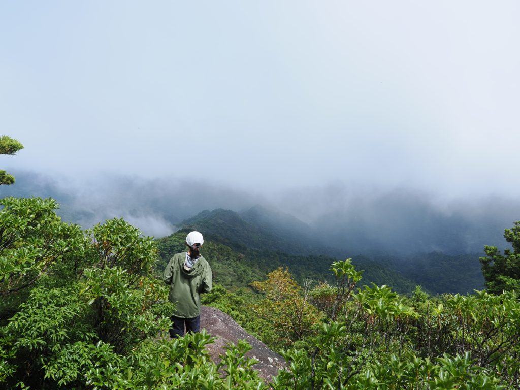 太忠岳山頂からの景色