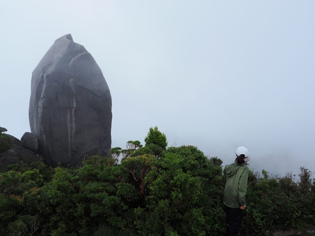 太忠岳山頂の天柱石