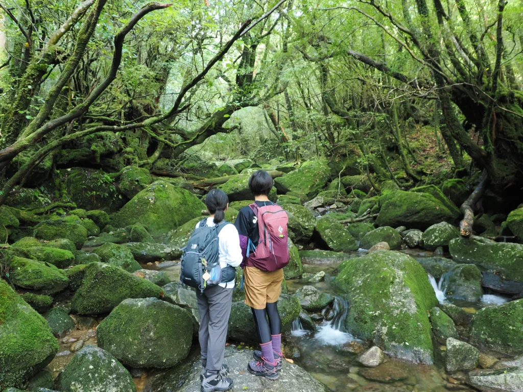 白谷川