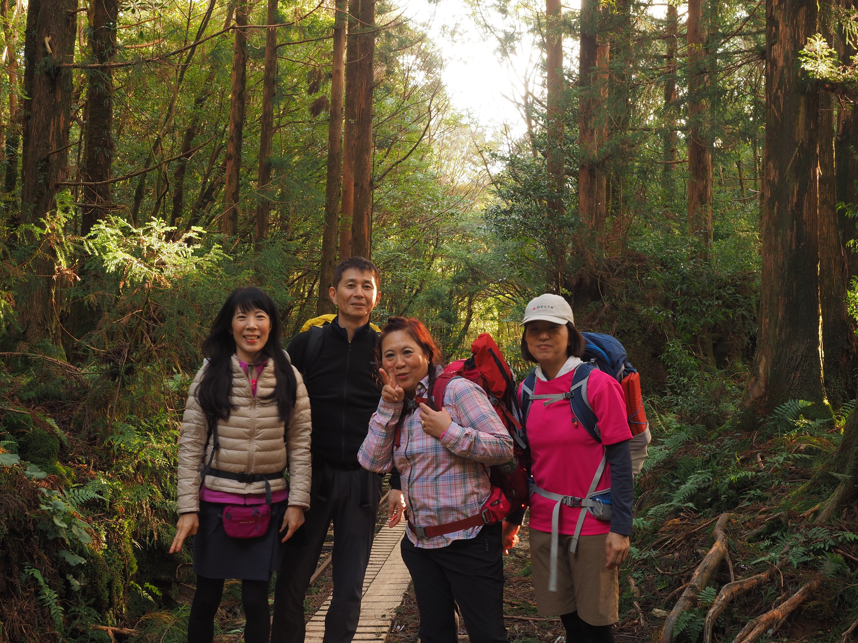 縄文杉コースのトロッコ道