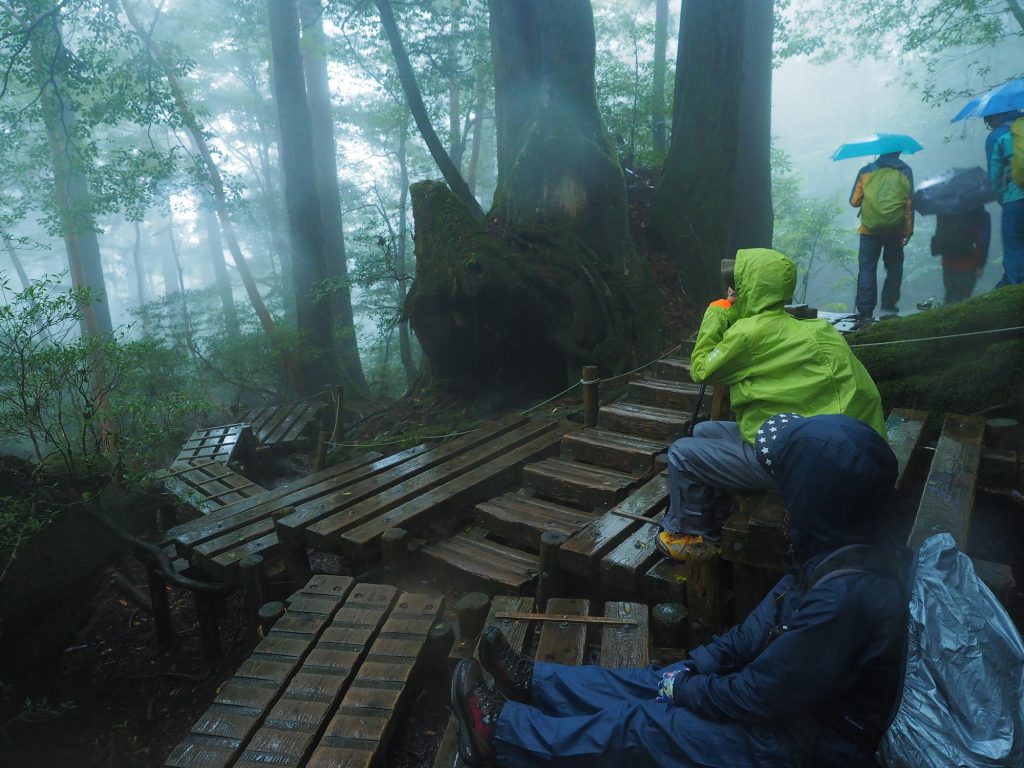 屋久杉の切り株の前で休憩