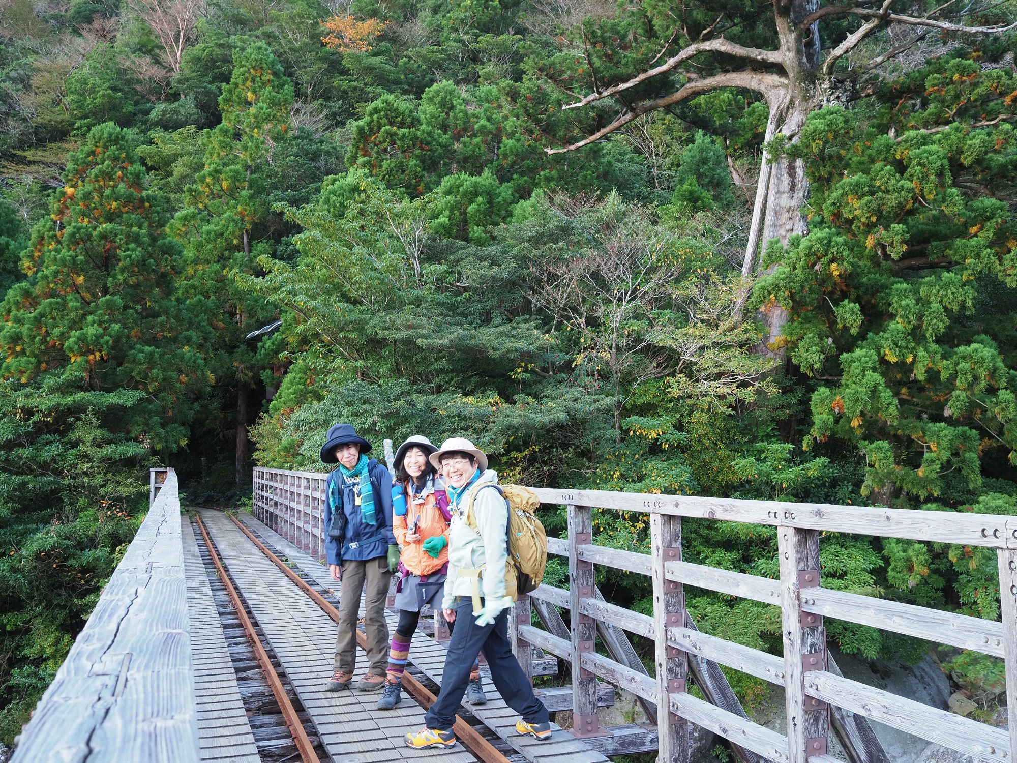 トロッコ道の小杉谷橋