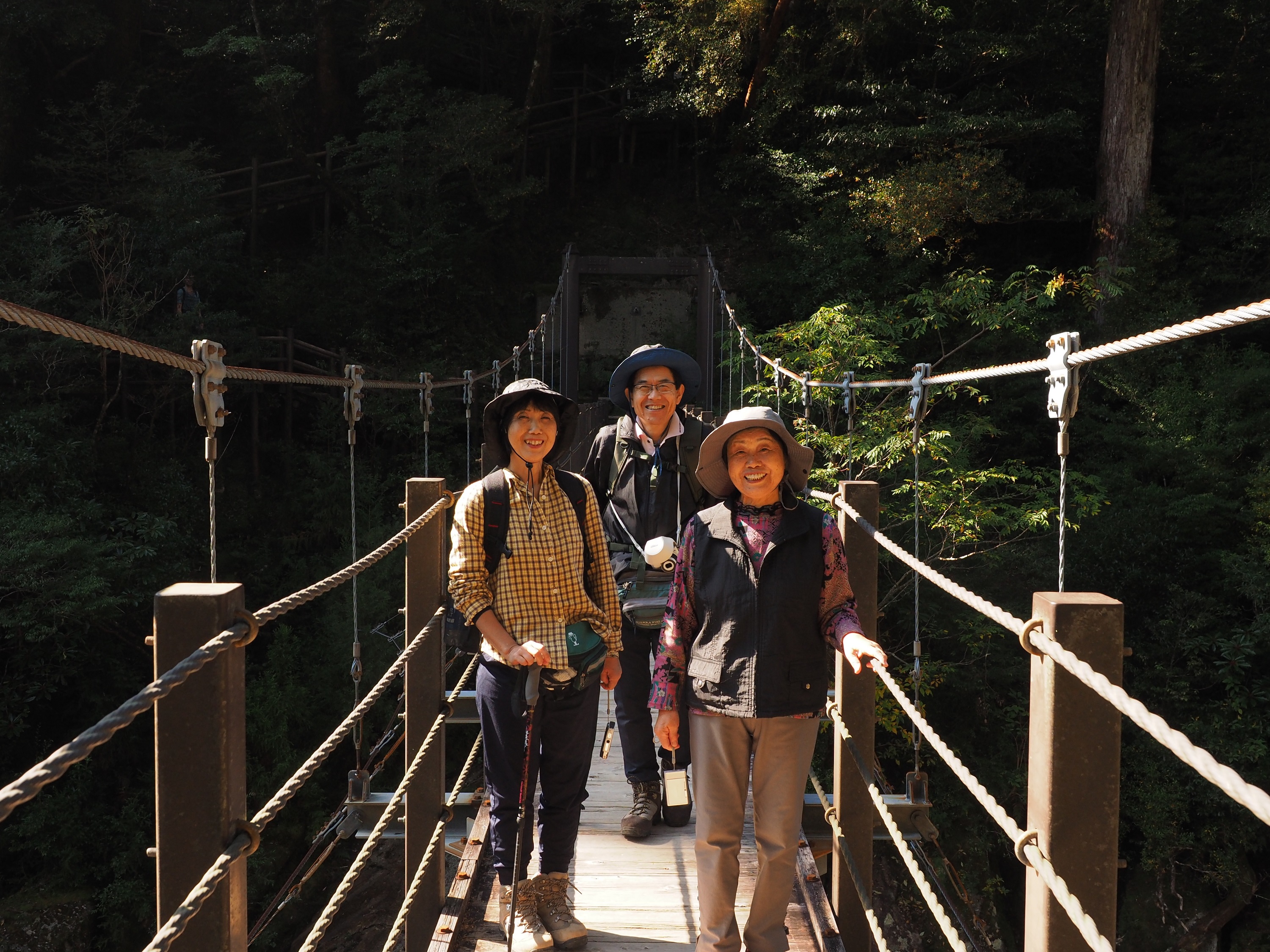 ヤクスギランド　吊り橋