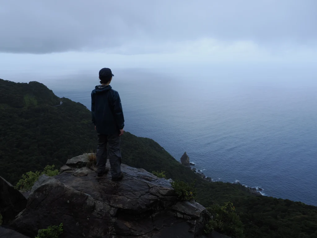 世界遺産の森を見下ろす