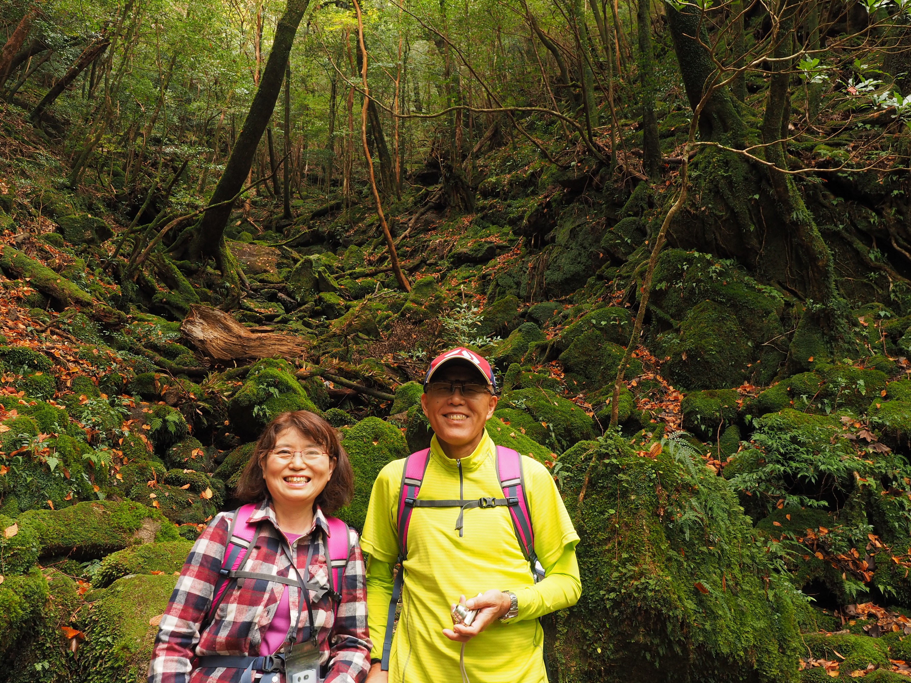 白谷雲水峡の苔の世界