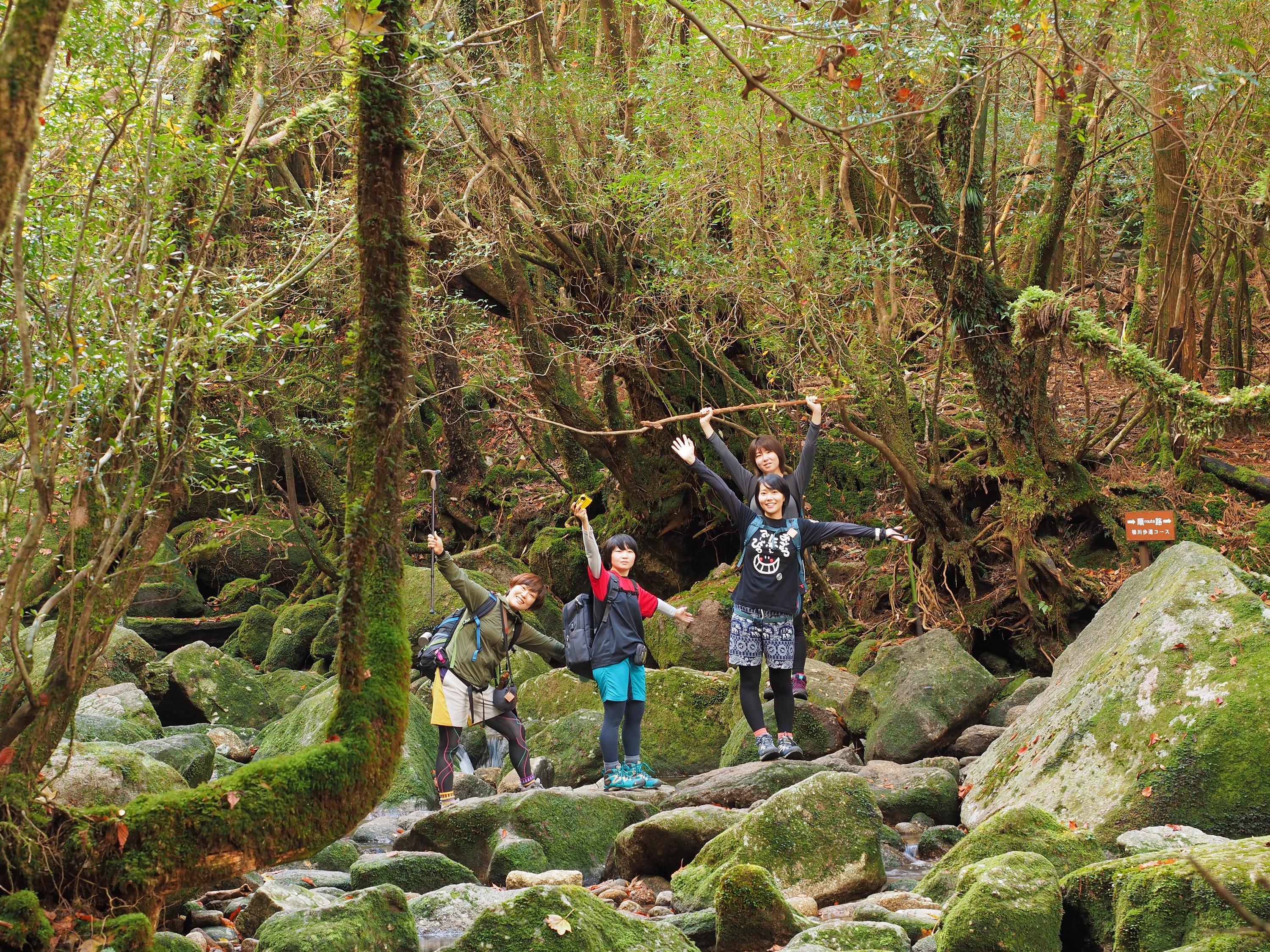白谷雲水峡の楠川歩道