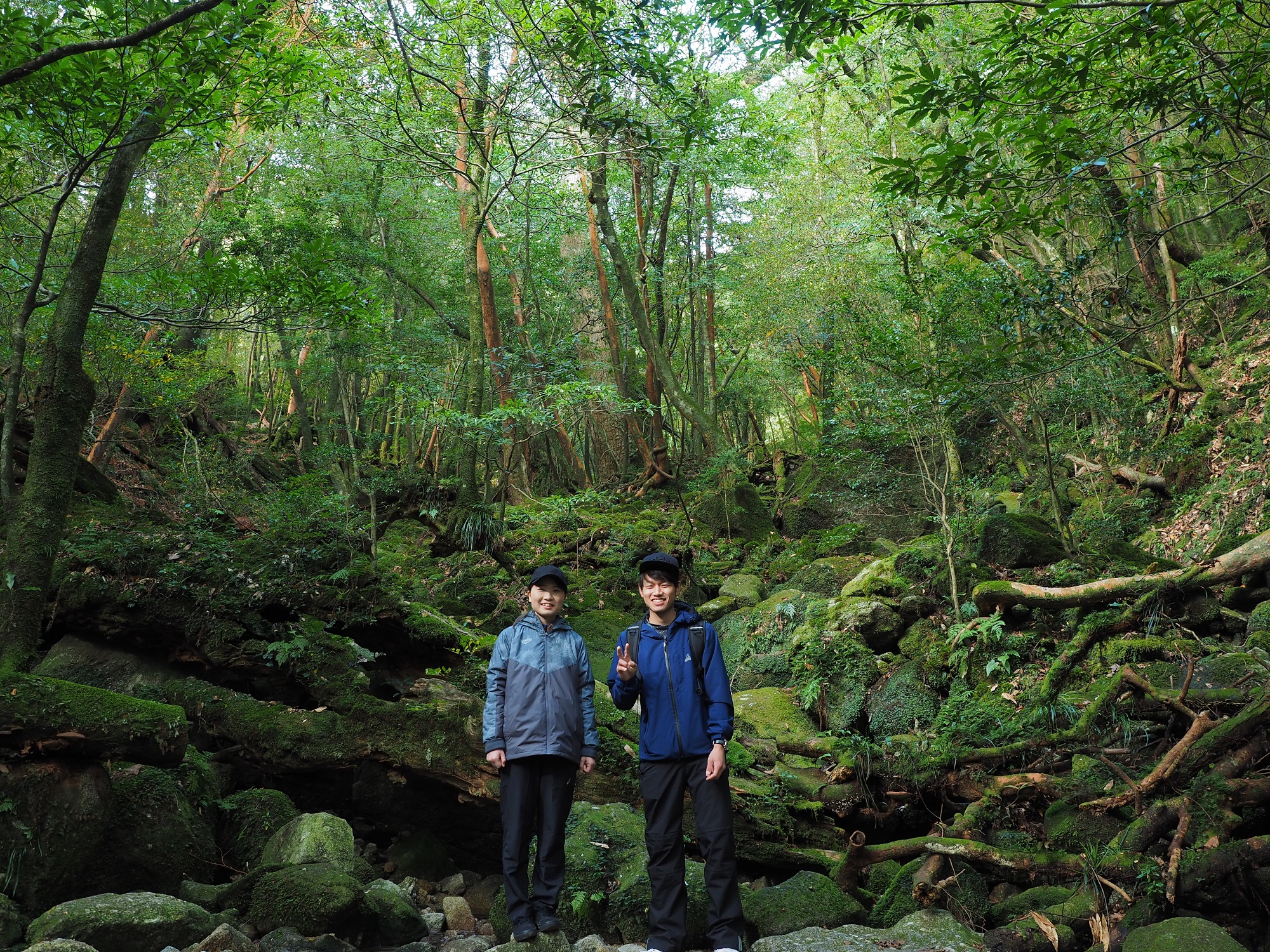 二代大杉近くの森