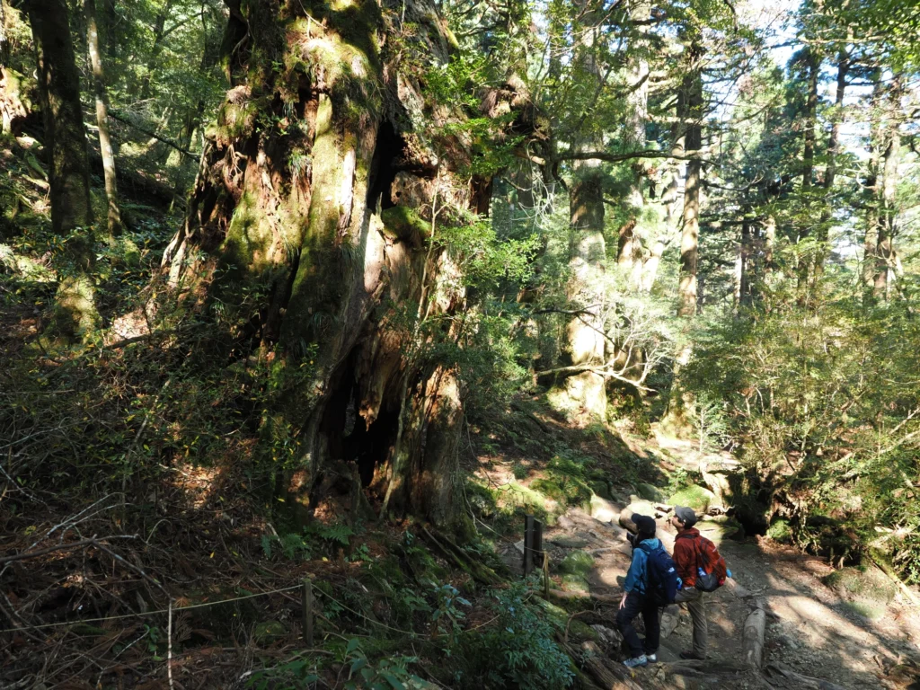 かみなりおんじ