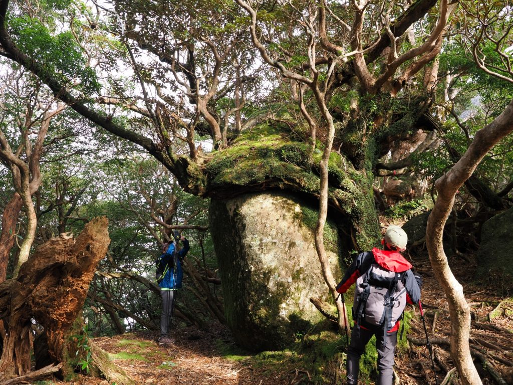 花崗岩の巨石