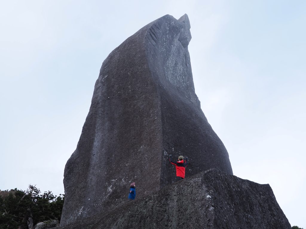 太忠岳山頂